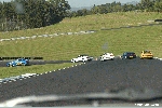 4495.jpg