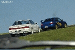 4531.jpg