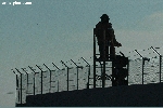 8416.jpg